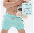 Шорты Simple Toddler 10 - фото 6084