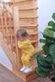 Брюки Toddler-Casa FL мг000017061 - фото 6249